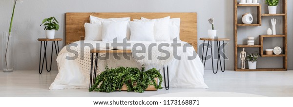 Furry Rug Book On Wooden Bench Interiors Stock Image