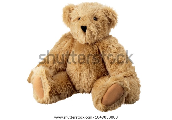 furry teddy