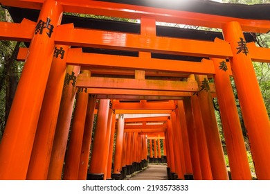 Fushimi Inari Taisha Shrine In Kyoto, Japan