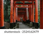 Fushimi Inari Temple is the main shrine in honor of the female deities inari, located in Fushimi-ku (Kyoto Prefecture).