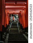 Fushimi Inari Temple is the main shrine in honor of the female deities inari, located in Fushimi-ku (Kyoto Prefecture).