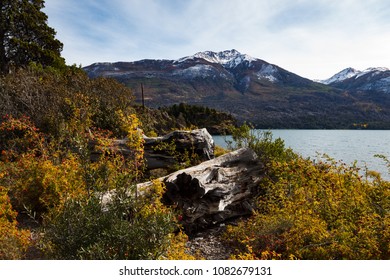 Futalaufquen Lake, Los Alerces National Park.