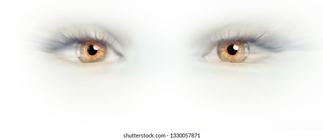 future vision concept