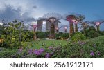 Futuristic aerial view of illumination at Garden by the Bay in Singapore after sunset. Green lawn with viewers. Night light show at Supertree Groveis is main Marina Bay district tourist attraction