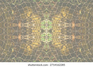 Futuristic bio web interface with mirrored organic network symmetry

