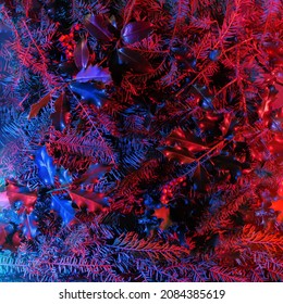 Futuristic dark winter cyberpunk inspired concept. Pine tree, holly tree branches with few red berries under vivid neon light. - Powered by Shutterstock