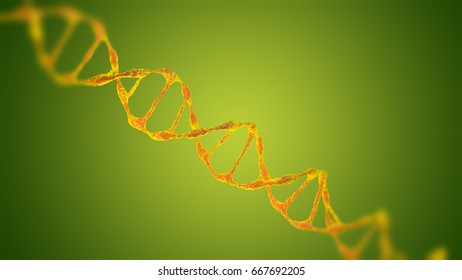 Futuristic double chain DNA, two colors, The scene with under a microscope on a Green background. The Concept molecular biology and biotechnology,  DNA genomes. 3D rendering - Shutterstock ID 667692205
