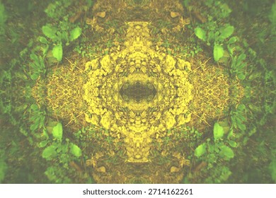 Futuristic forest core interface with mirrored moss ring symmetry


