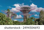 Futuristic view of amazing supertrees at Garden by the Bay timelapse in Singapore. Supertree Groveis is main Marina Bay district tourist attraction. Clouds on a blue sky