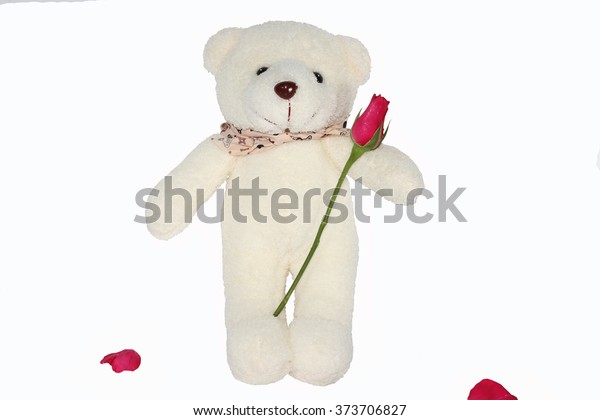 bear holding a flower