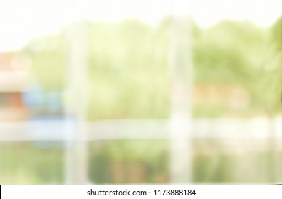 Fuzzy Office Photo With A Window And Views Of A Forest