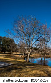 Gabbard Park Winter Stock Photo 1035455236 | Shutterstock