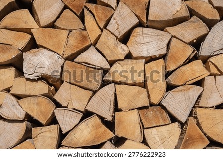 Gabrovo, Bulgaria. Stack of split firewood set to dry.