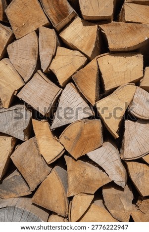Gabrovo, Bulgaria. Stack of split firewood set to dry.