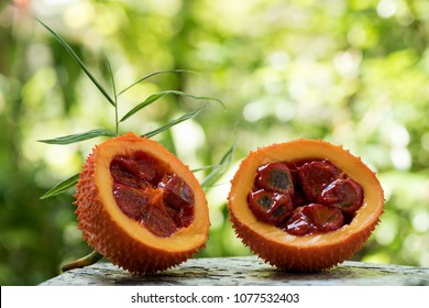 gac fruit has medicinal properties.