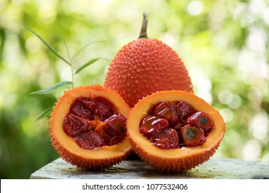 gac fruit has medicinal properties.