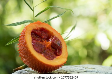 gac fruit has medicinal properties.