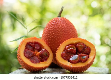 gac fruit has medicinal properties.