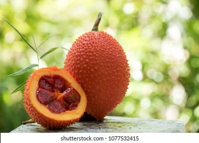 gac fruit has medicinal properties.