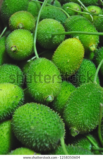 Gac Fruit Momordica Cochinchinensis Stock Photo Edit Now 1258350604