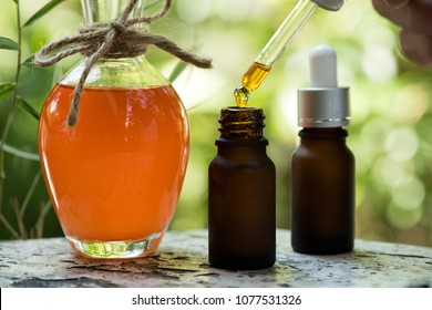 gac fruit oil has medicinal properties.