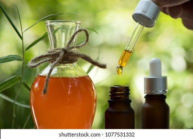 gac fruit oil has medicinal properties.