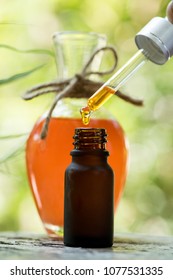 gac fruit oil has medicinal properties.
