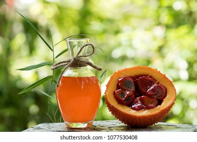 gac fruit and oil Medicinal properties