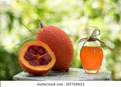 gac fruit and oil Medicinal properties