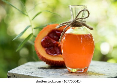 gac fruit and oil Medicinal properties
