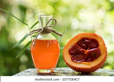 gac fruit and oil Medicinal properties