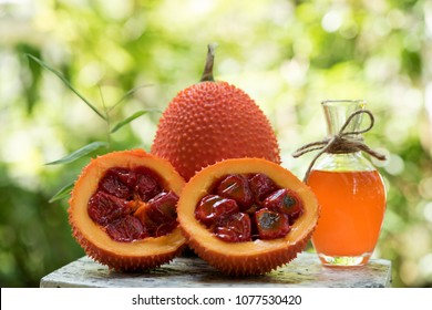gac fruit and oil Medicinal properties