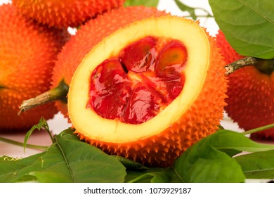 Gac fruits,fruits of Thailand have medicine properties.