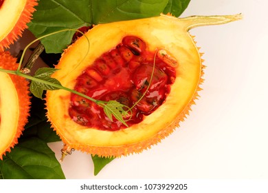Gac fruits,fruits of Thailand have medicine properties.