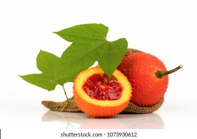 Gac fruits,fruits of Thailand have medicine properties.