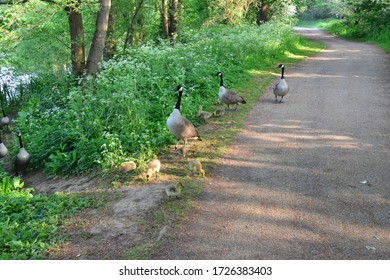 Surrey Riverside Hd Stock Images Shutterstock