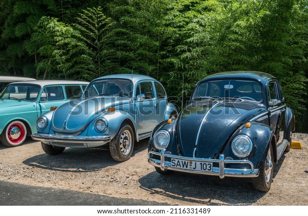 Gainesville, Georgia USA - June 13, 2020  Two\
vintage Volkswagon cars both restored one is a beetle and the other\
a split window bug parked together outdoors on a sunny day in\
summertime