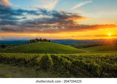 Gaiole in Chianti, Siena Italy - September 2020: a september sunset in the vineyards of Brolio castle (Gaiole in Chianti, Siena)