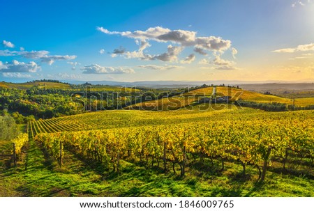 Gaiole in Chianti vineyard and panorama at sunset in autumn. Tuscany, Italy Europe.