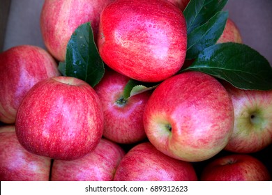 Gala Apples