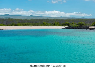 Galapagos Coral Reef By Seymour North Island Beach For Snorkeling, Galapagos Islands, Ecuador.