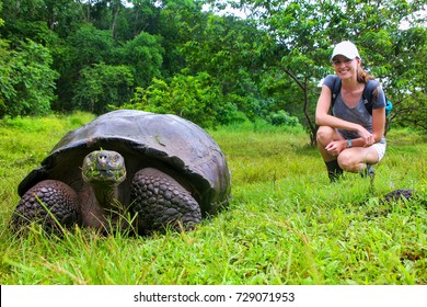 Galapagos giant tortoise with young woman (blurred in background) sitting next to it on Santa Cruz Island in Galapagos National Park, Ecuador. It is the largest living species of tortoise.