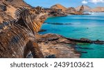 Galapagos Islands. Ecuador. Marine Iguana on the Pacific Ocean beach. The beach of the Galapagos Islands. Pacific Ocean.