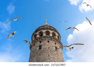 Galata Tower in Istanbul Turkey, famous turist destination in Istanbul with seagulls