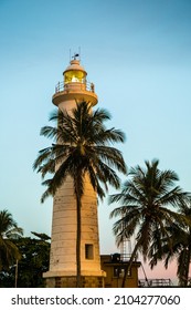 Galle Lighthouse And A Palm Tree