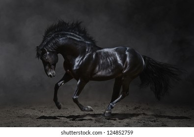 Galloping black horse on dark background. - Shutterstock ID 124852759