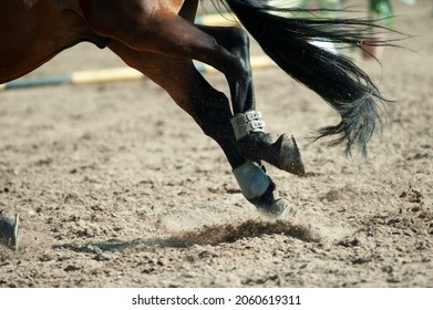 Galloping horse legs closeup outdoors - Shutterstock ID 2060619311