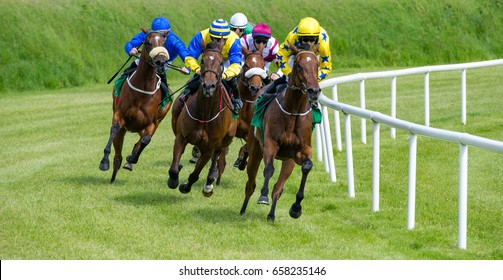 Galloping Race Horses In Racing Competition 