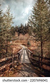 Galloway Forest National Park Trail