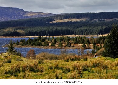 Galloway Forest Park